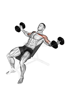 Moscas torcidas inclinadas com halteres demonstration