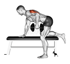 Kickback Dumbbell demonstration