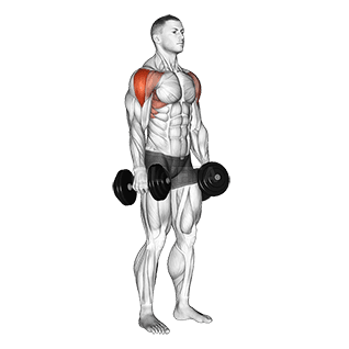 Image of Lateral Raise