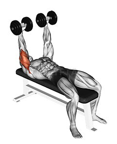 Leudachadh dumbbell laighe demonstration