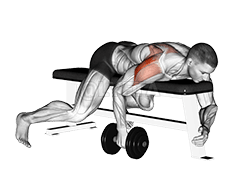 Levantamento lateral traseiro com haltere deitado com um braço demonstration