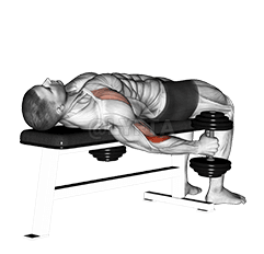 Dumbbell Lying Supine Curl demonstration