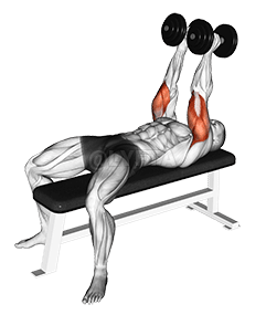 Dumbbell Neutral Grip Bench Press demonstration