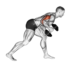 Dumbbell One Arm Kickback demonstration