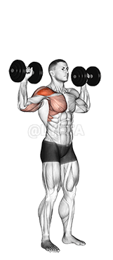 Thumbnail for the video of exercise: Dumbbell One Arm Shoulder Press