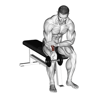 Curl da polso con un braccio e manubri demonstration