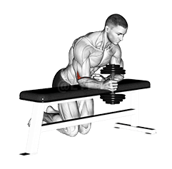 Fuq il-Bank Wieħed Arm Curl tal-polz newtrali demonstration