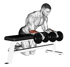 Curl de muñeca sobre banco demonstration