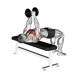 Image of Dumbbell Pullover