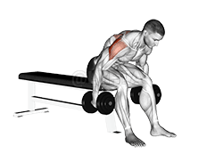 Kɔnɔna Fly demonstration