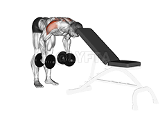 Haltères Arrière Lateral Raise demonstration