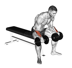 Curl del polso inverso demonstration