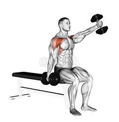 Abwechselnder Frontheben mit Kurzhanteln im Sitzen demonstration