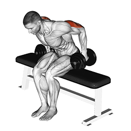 Dumbbell na shuidhe air ais demonstration