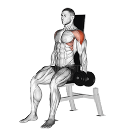 Thumbnail for the video of exercise: Seated Lateral Raise