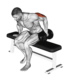 Thumbnail for the video of exercise: Dumbbell Seated One Arm Kickback