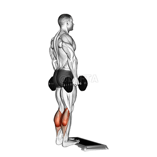 Image of Standing Calf Raise