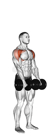 Hantel im Stehen vorne über den Kopf heben demonstration