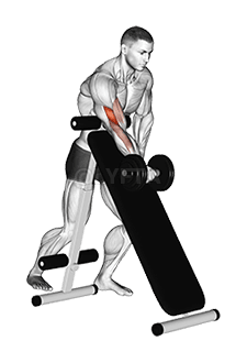 Dumbbell Weqfin Wieħed Driegħ Curl demonstration