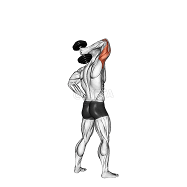 Leudachadh dumbbell na sheasamh aon ghàirdean demonstration