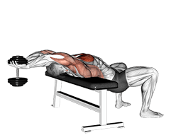 Kurzhantel-Pullover mit geradem Arm demonstration