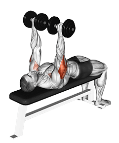 Image of Dumbbell Tate Press