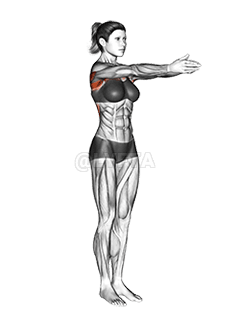 Síneadh cófra dinimiciúil demonstration