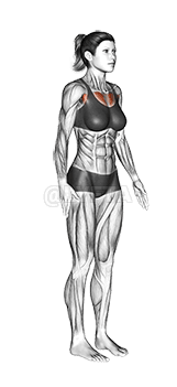 Elbows Ar ais Sín demonstration