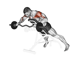 Prensa antigravedad con barra EZ demonstration