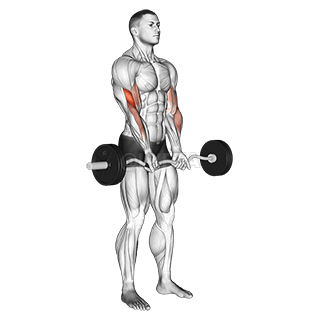 Ciešā satvēriena čokurošanās demonstration