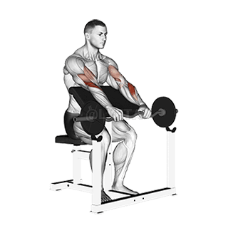 EZ Barbell Omvendt greb Preacher Curl demonstration