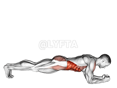 پلانک جلویی با پیچ و تاب demonstration