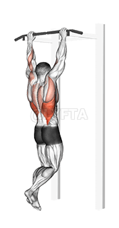 Жиронда Грудина Подбородок demonstration