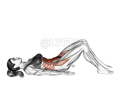 Thumbnail for the video of exercise: Hip Crunch