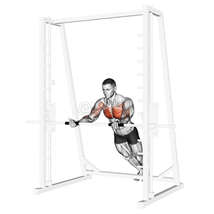 Push-Up Pegangan Terbalik Kemiringan demonstration