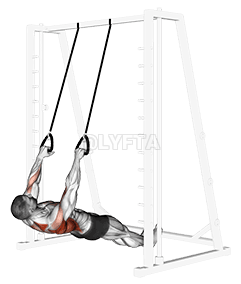 Inverted Row kple Straps demonstration