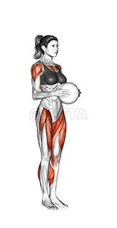 Jack Press demonstration