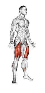 Jump Squat demonstration