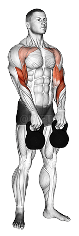 Kettlebell Ofwiesselnd Hang Clean demonstration