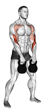 Kettlebell doppio alternato Hang Clean demonstration