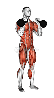 Thumbnail for the video of exercise: Двойной толчок гири