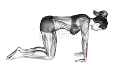 Klo Klo Asibidɛ Flexor Keke demonstration