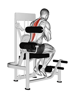 ផ្នែកបន្ថែម Lever Back demonstration