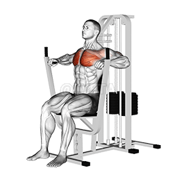 Image of Lever Chest Press
