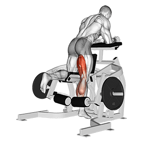 Сгибание ног на коленях с рычагом demonstration