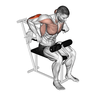 Tuil Overhand Triceps Dip demonstration