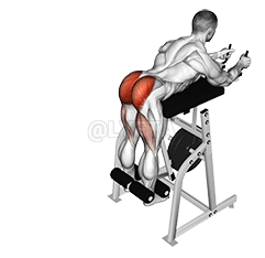 Reverzní hyperextenze páky demonstration