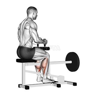 Lever Seated Calf Raise