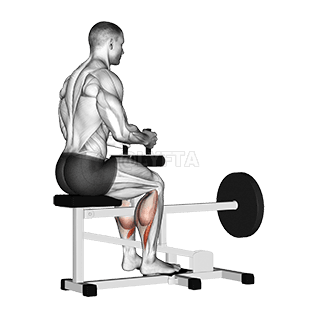 Image of Lever Seated Calf Raise