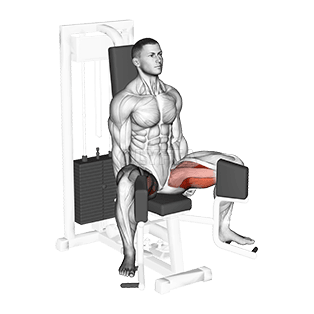 Image of Lever Seated Hip Adduction